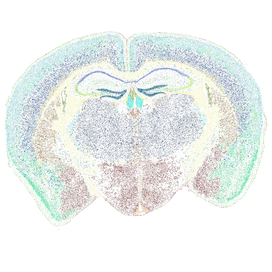 空间聚类分析图